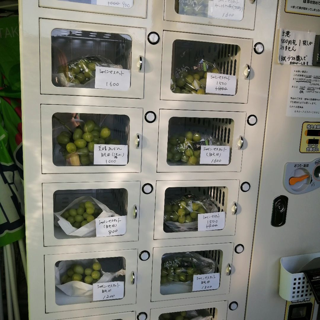 本日の自販機⁡