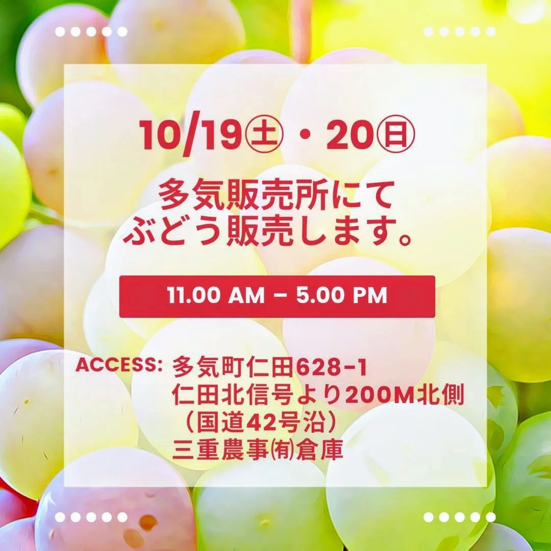 多気町仁田直売所にて 19日20日 土日を利用してぶどうの直...