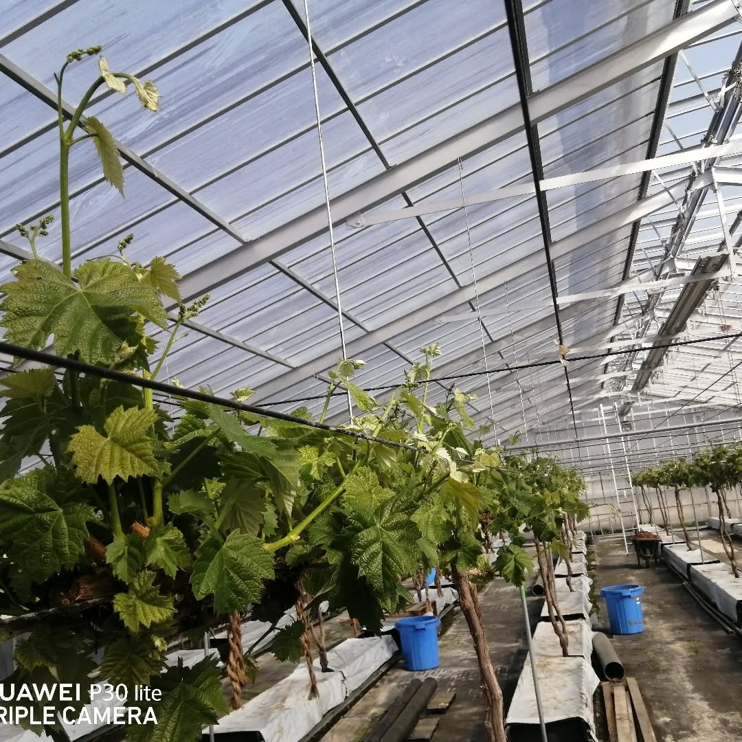 前回の投稿から1週間