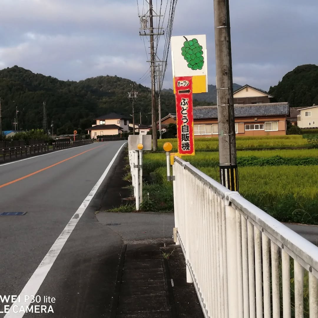 多気町朝柄自販機稼働しました。
