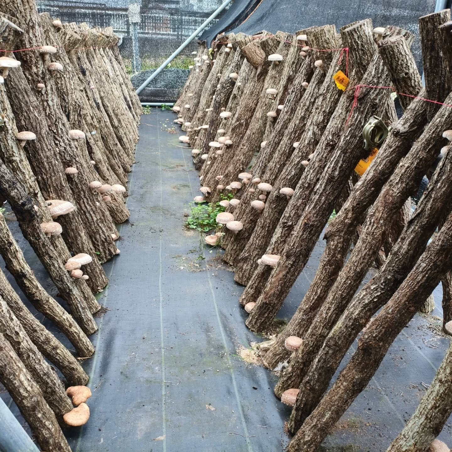 恐れていたことが…