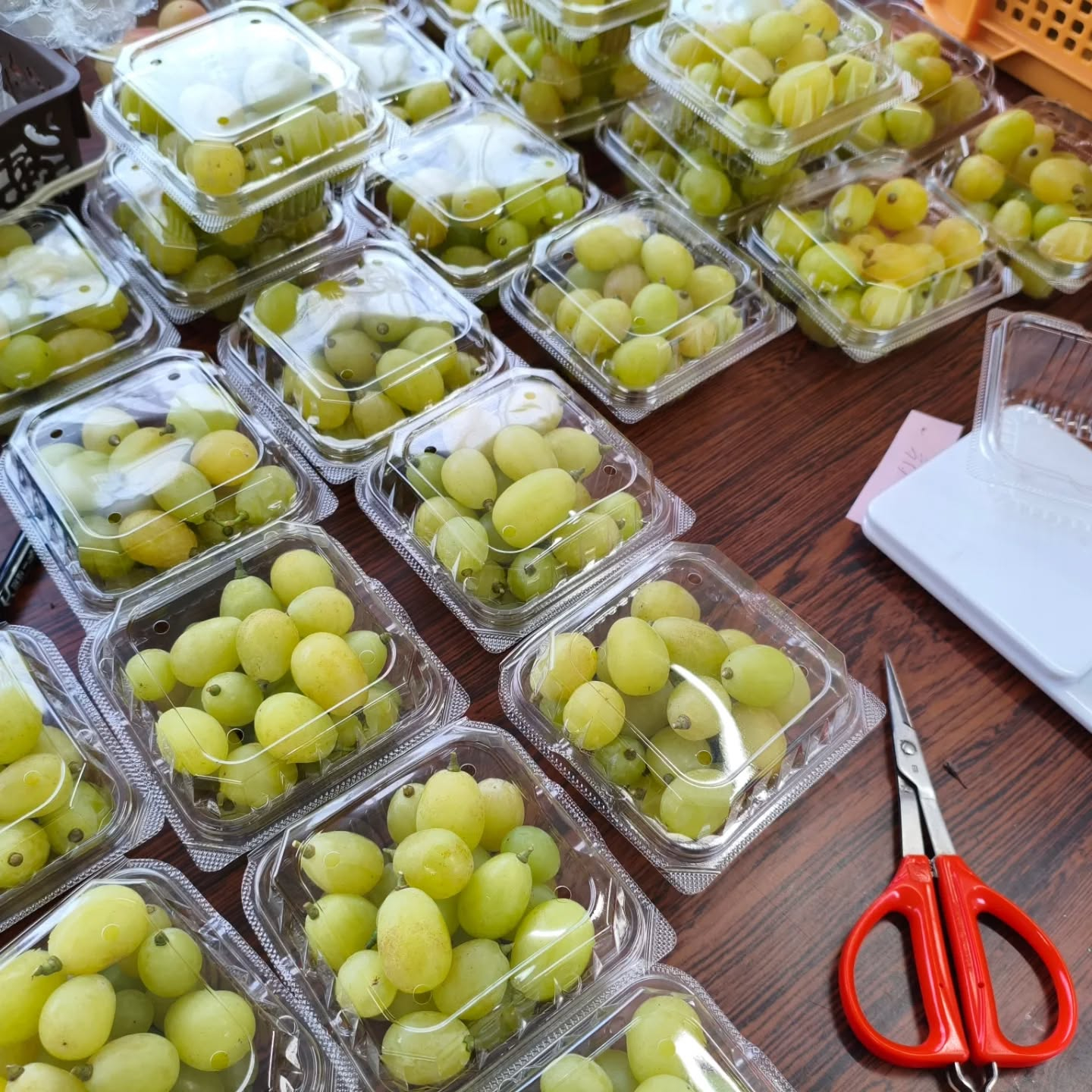 今日１８日（土曜日）は多気町仁田直売所での販売です