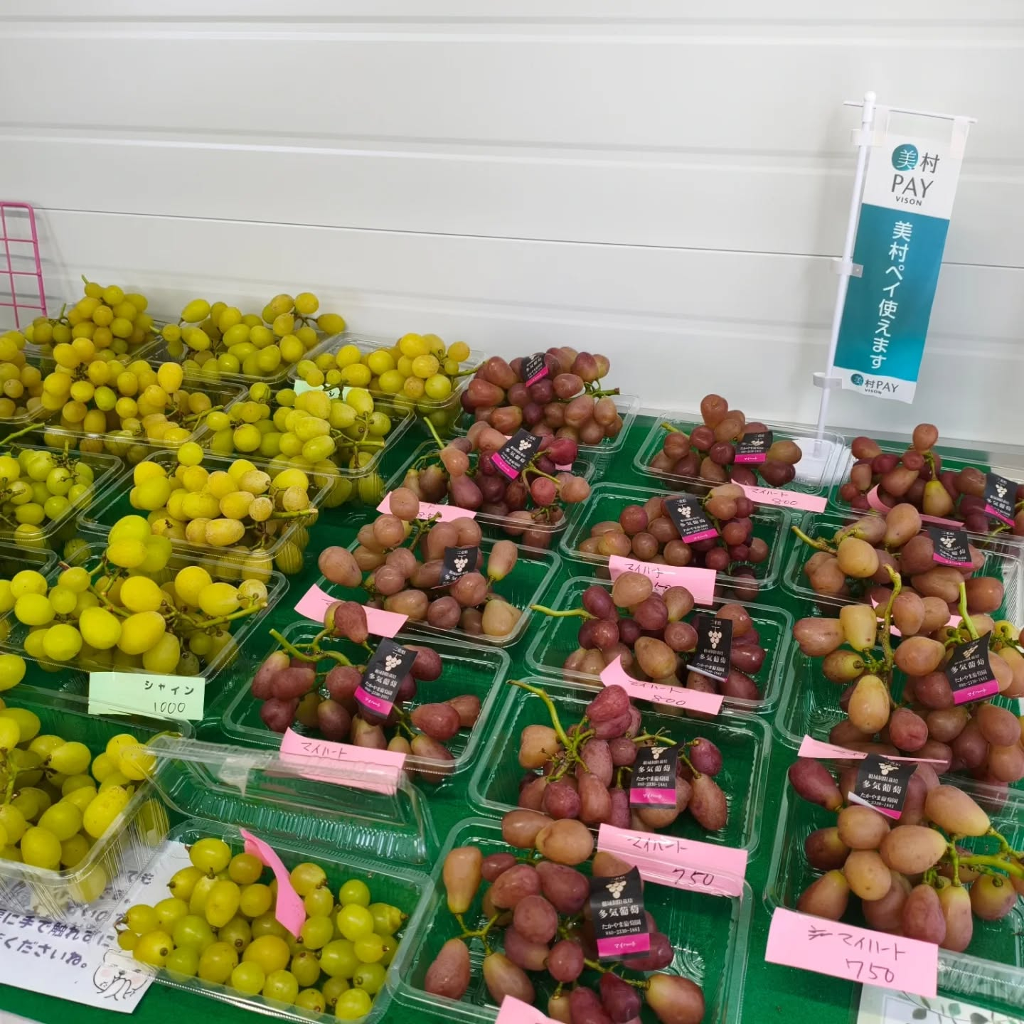 今日１８日（土曜日）は多気町仁田直売所での販売です