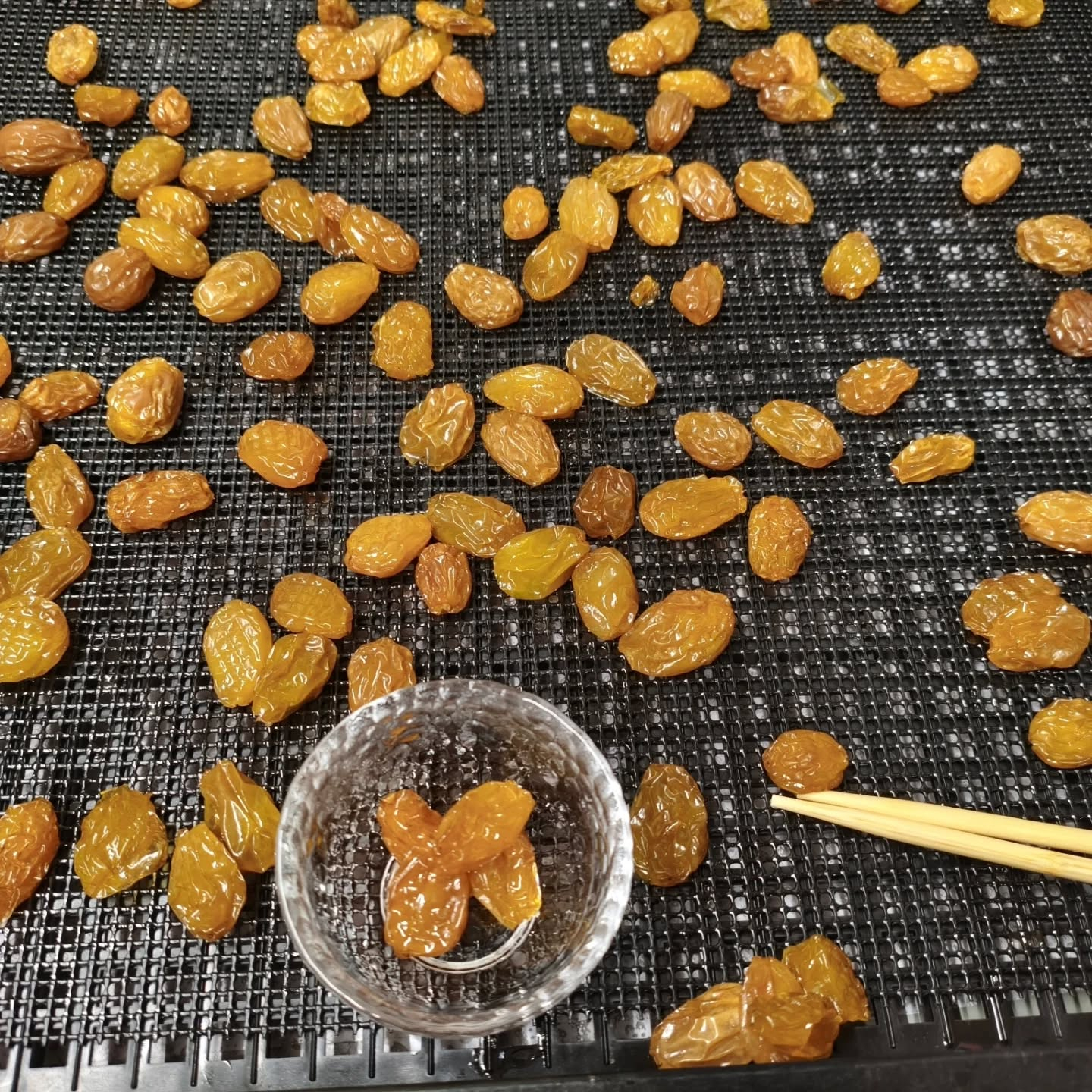 シャインマスカットのセミドライ