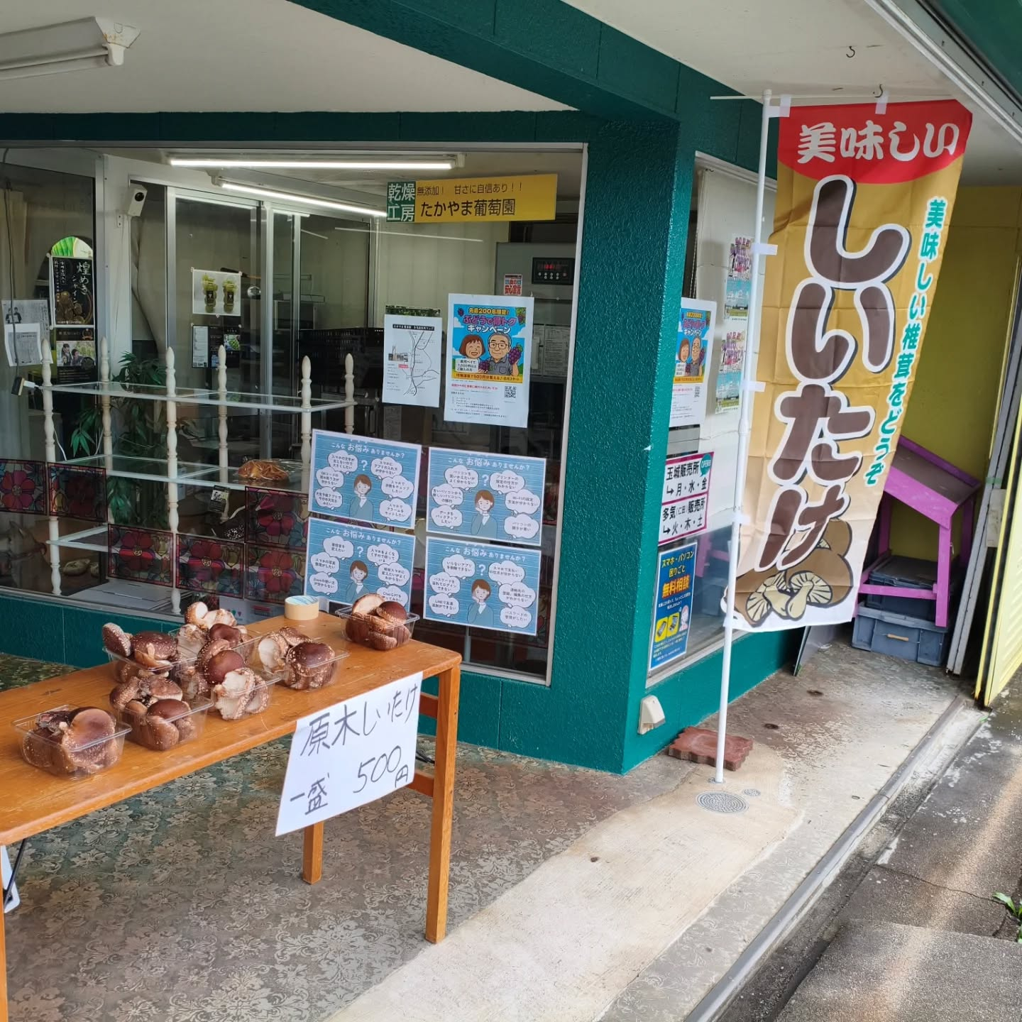 昨日の雨で椎茸があがってるだろうなぁと見にいけば沢山あり過ぎ...