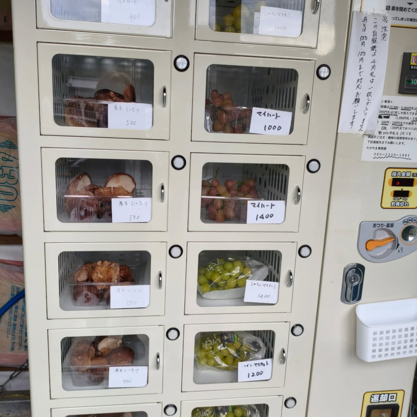 今日は日曜日　久々にのんびり掃除　洗濯に精を出そうかなぁって...