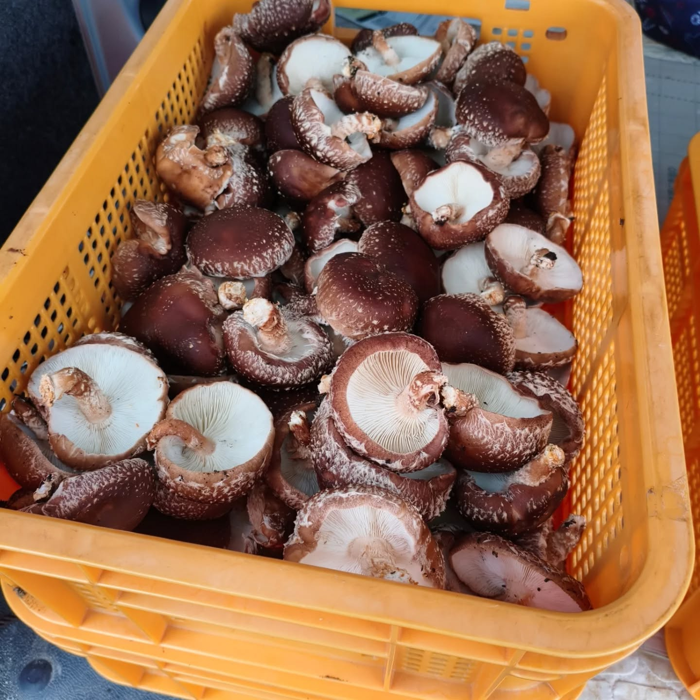 今日は日曜日　久々にのんびり掃除　洗濯に精を出そうかなぁって...