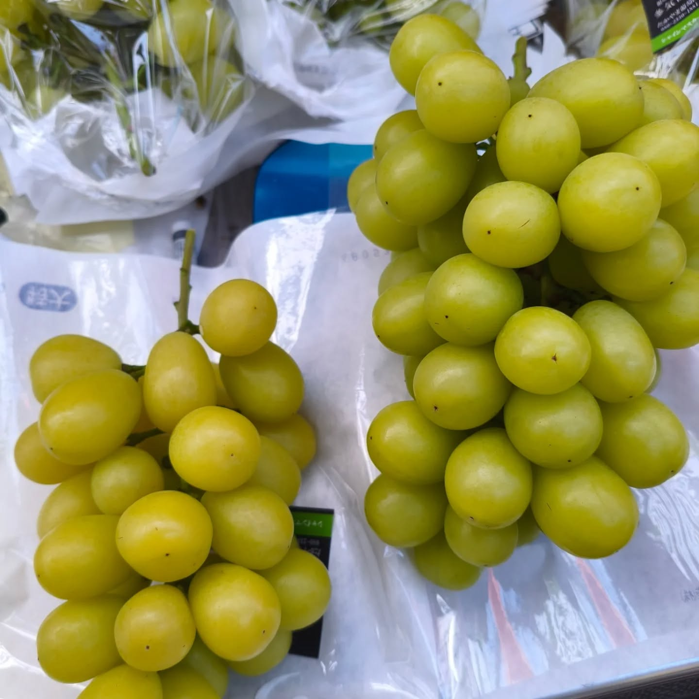 どうしてこんなに初々しい子が今まで残っていたんだ？と不思議に...