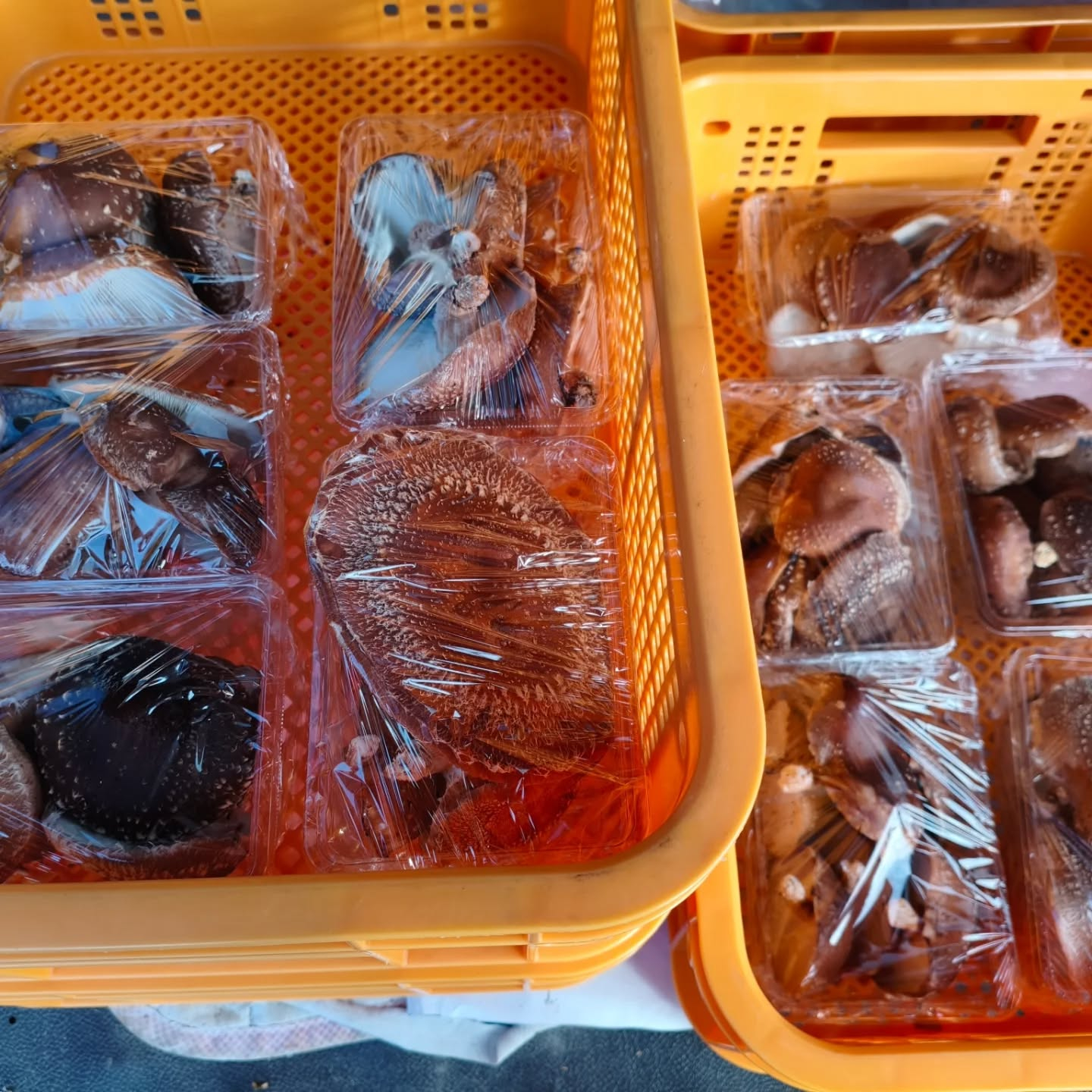 どうしてこんなに初々しい子が今まで残っていたんだ?と不思議に...