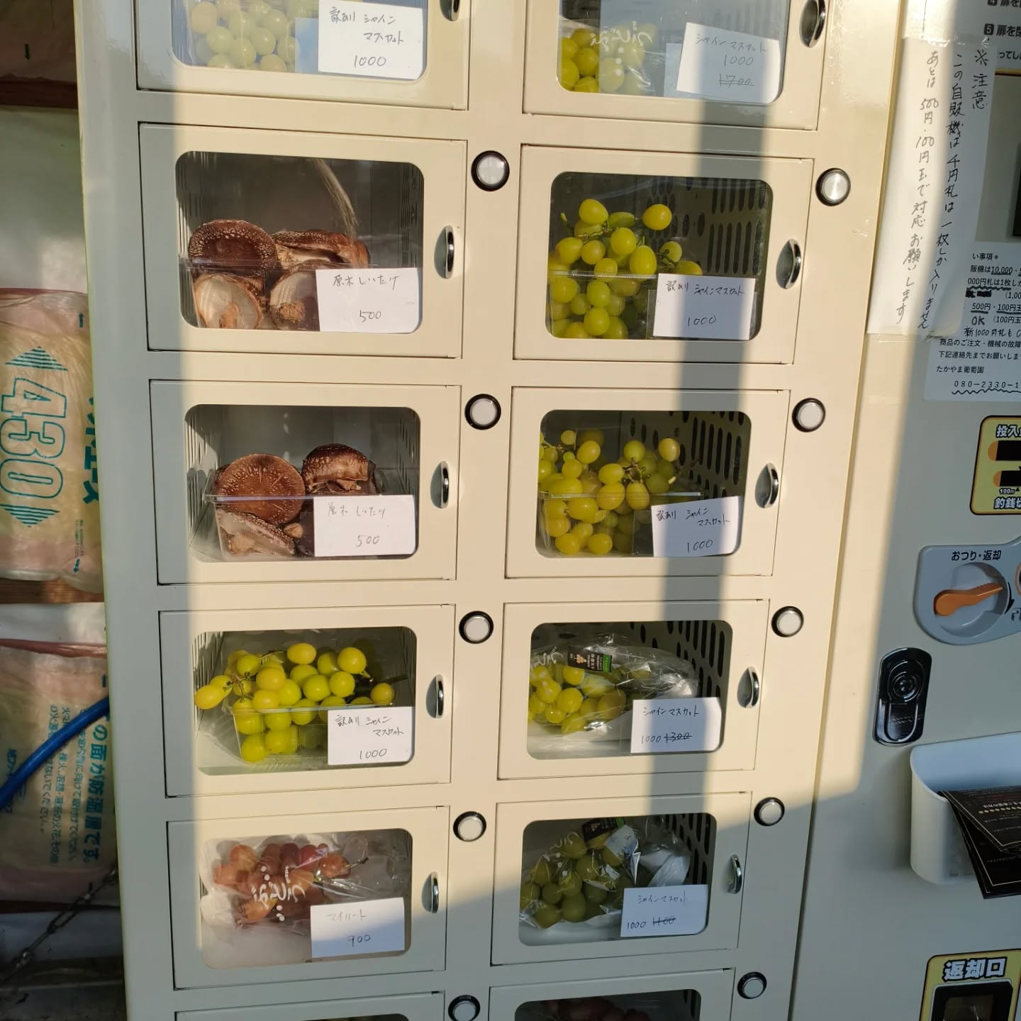 11月14日　本日の自販機