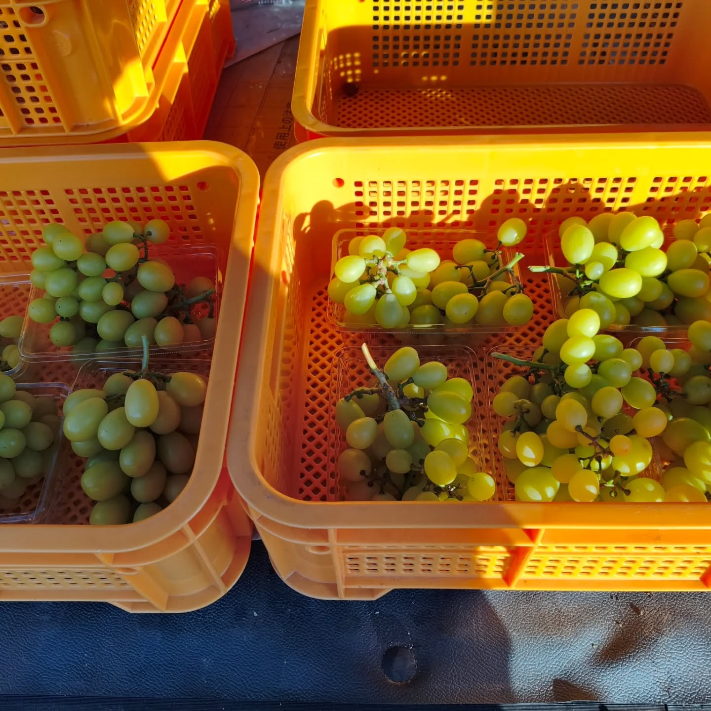 今朝も清々しい朝を迎えられました〜💖