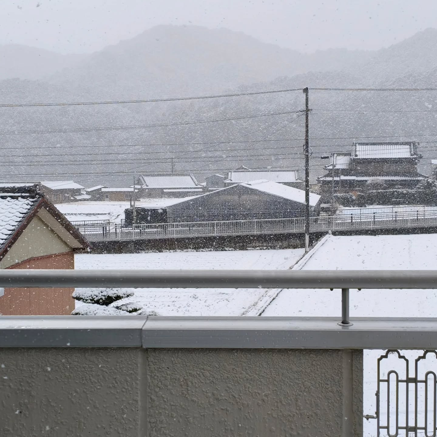 まさかの朝起きたら雪景色　R8.2.8