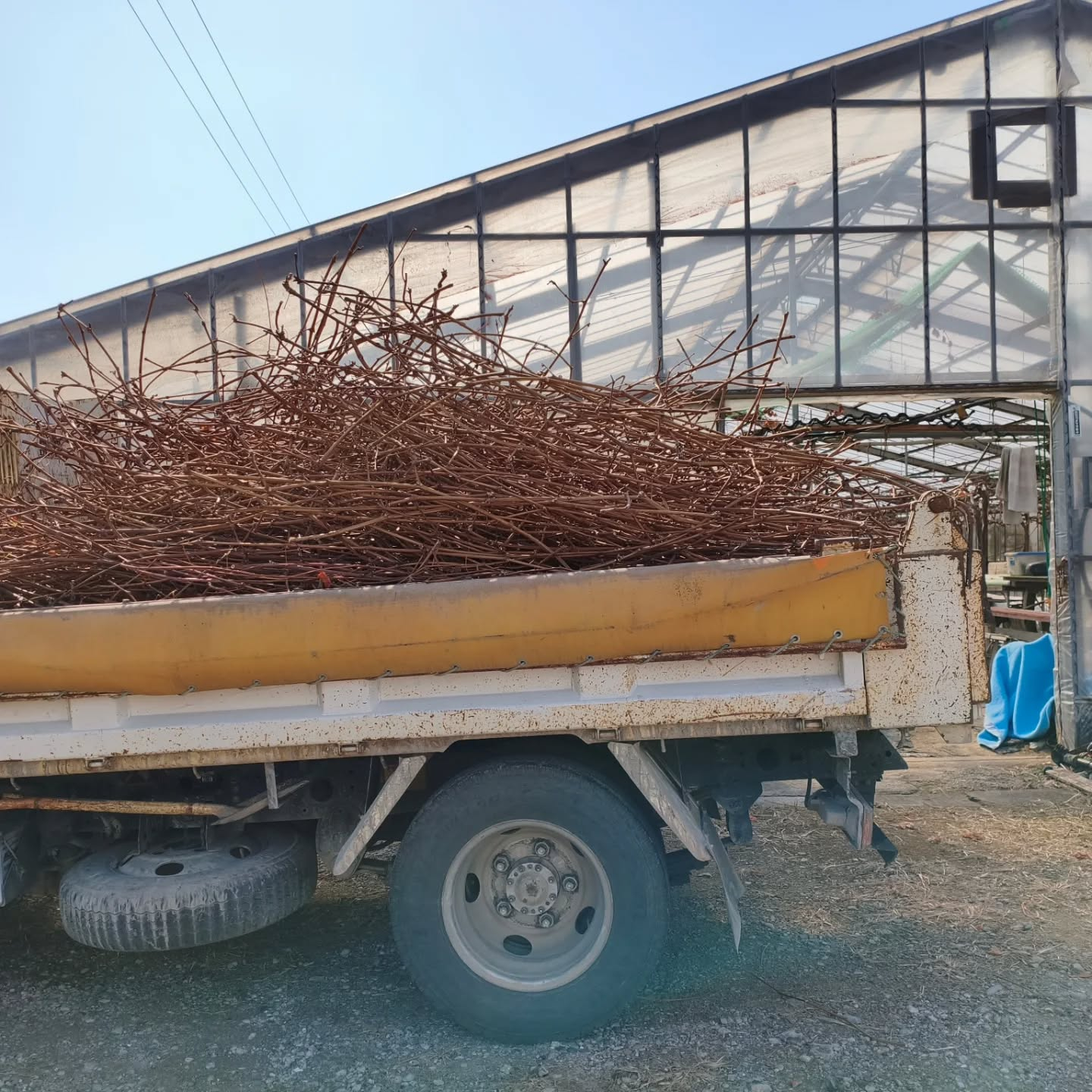 R8.2.14　世間はハッピーバレンタイン