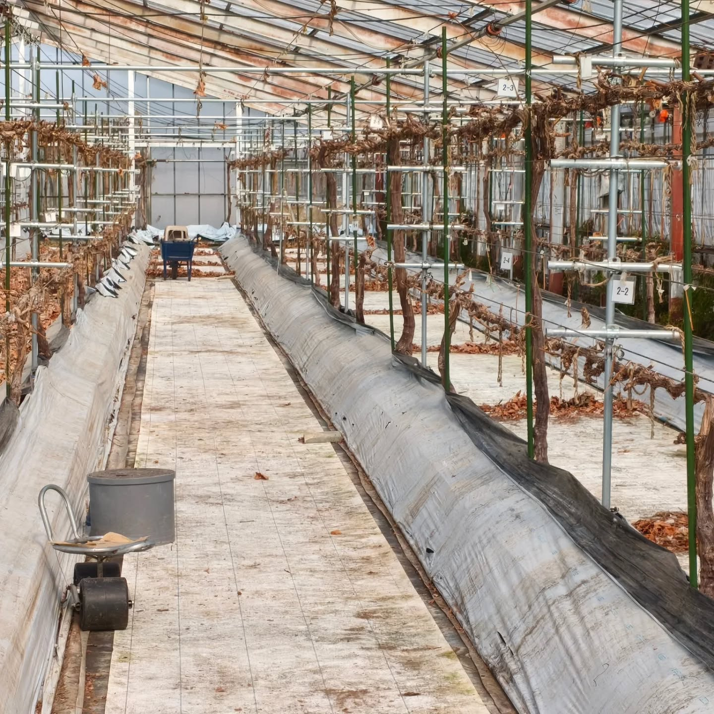 R8.2.14 世間はハッピーバレンタイン