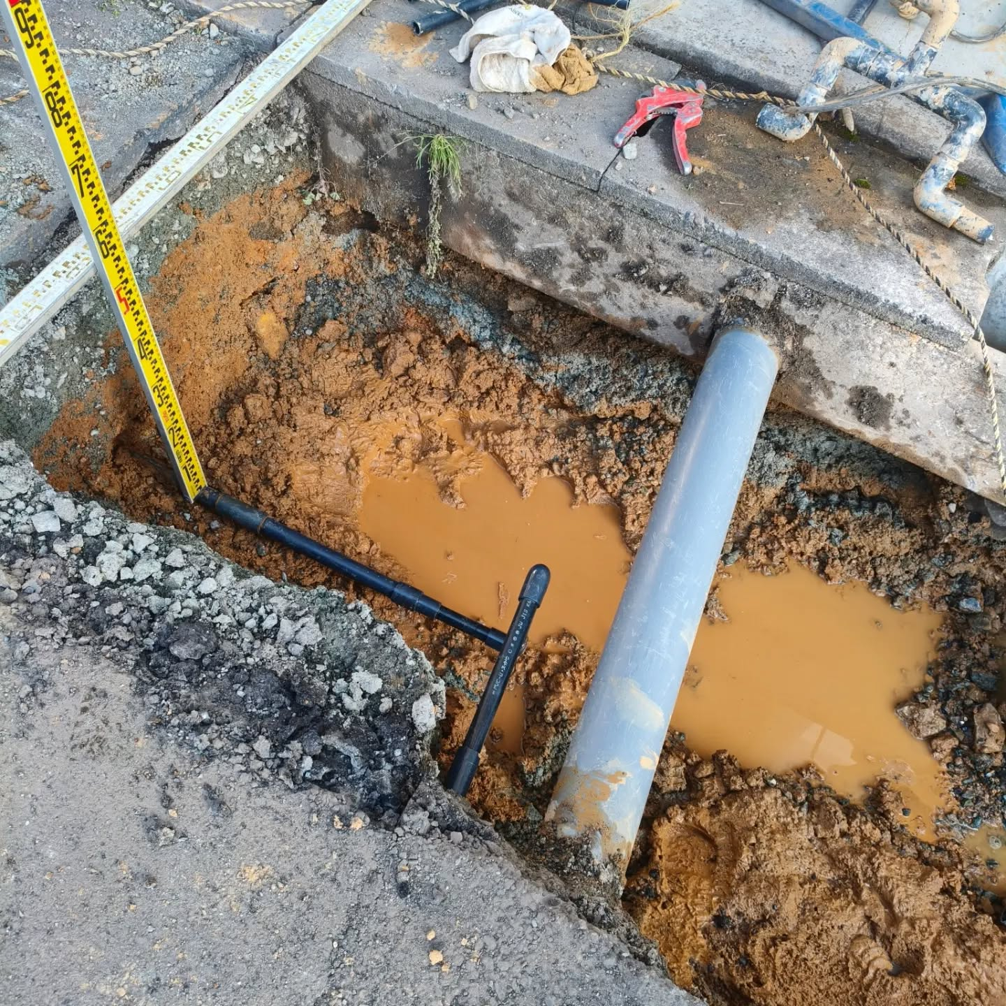 R8.3.18　ウチの社長の耳はやっぱり特殊だった💦　本業の...