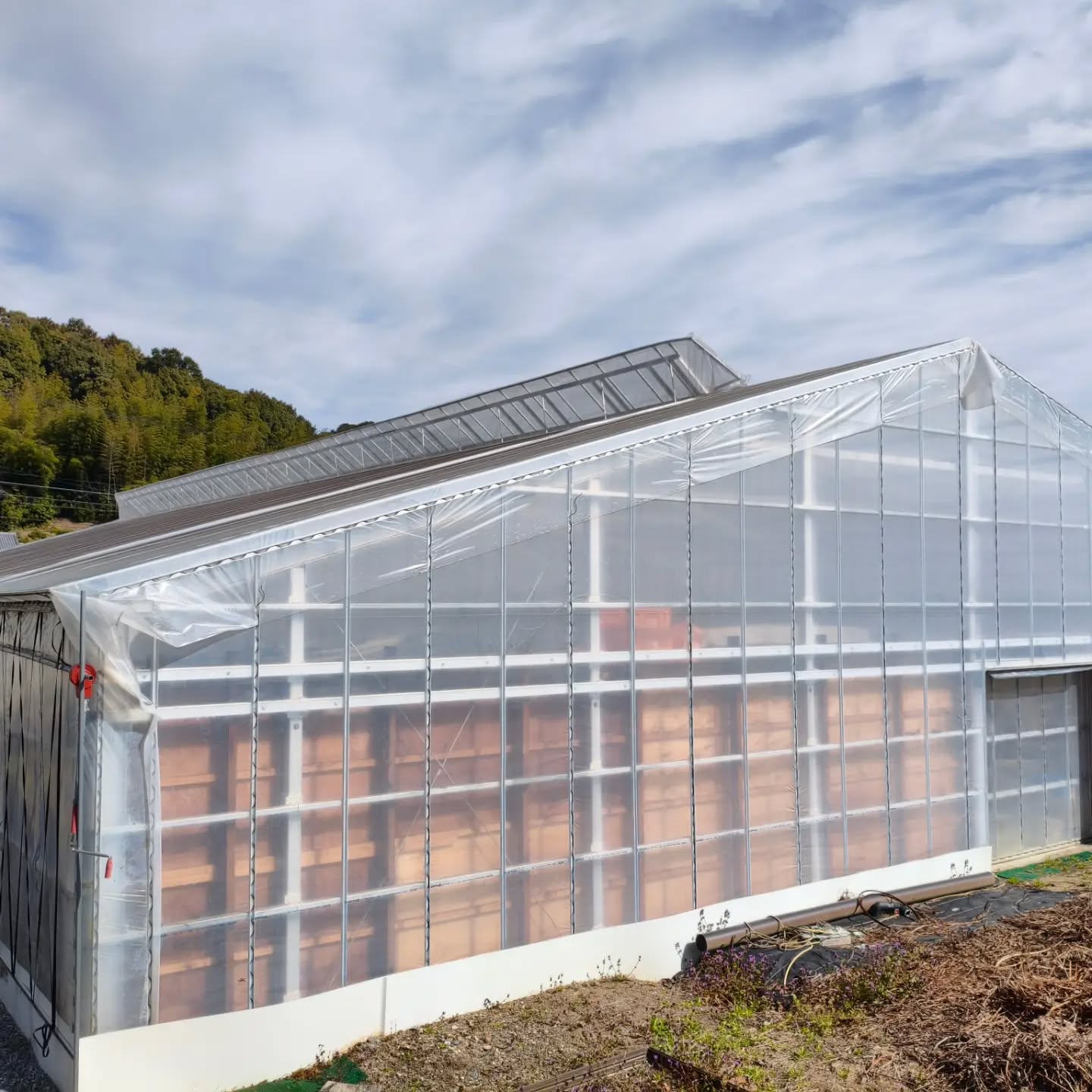 R8.3.20 昨夜の強風で天窓が風にあおられ　勝手に全開