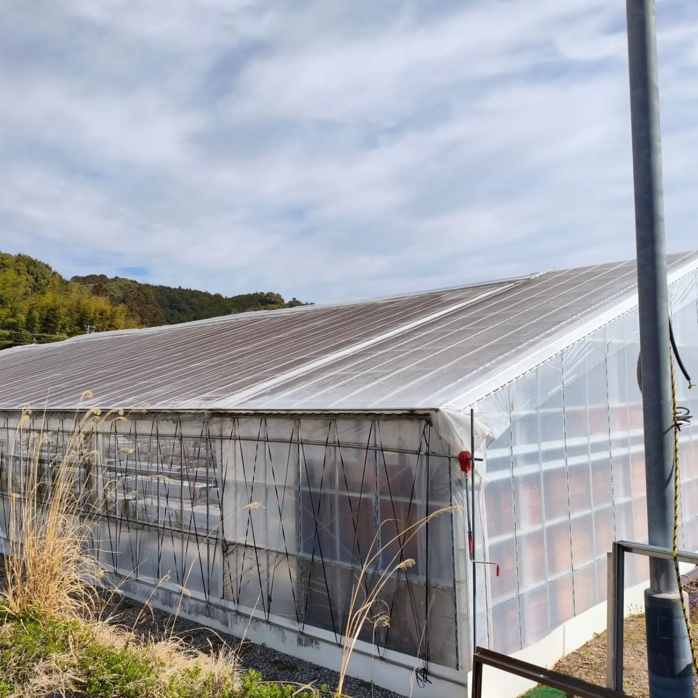 R8.3.20 昨夜の強風で天窓が風にあおられ　勝手に全開