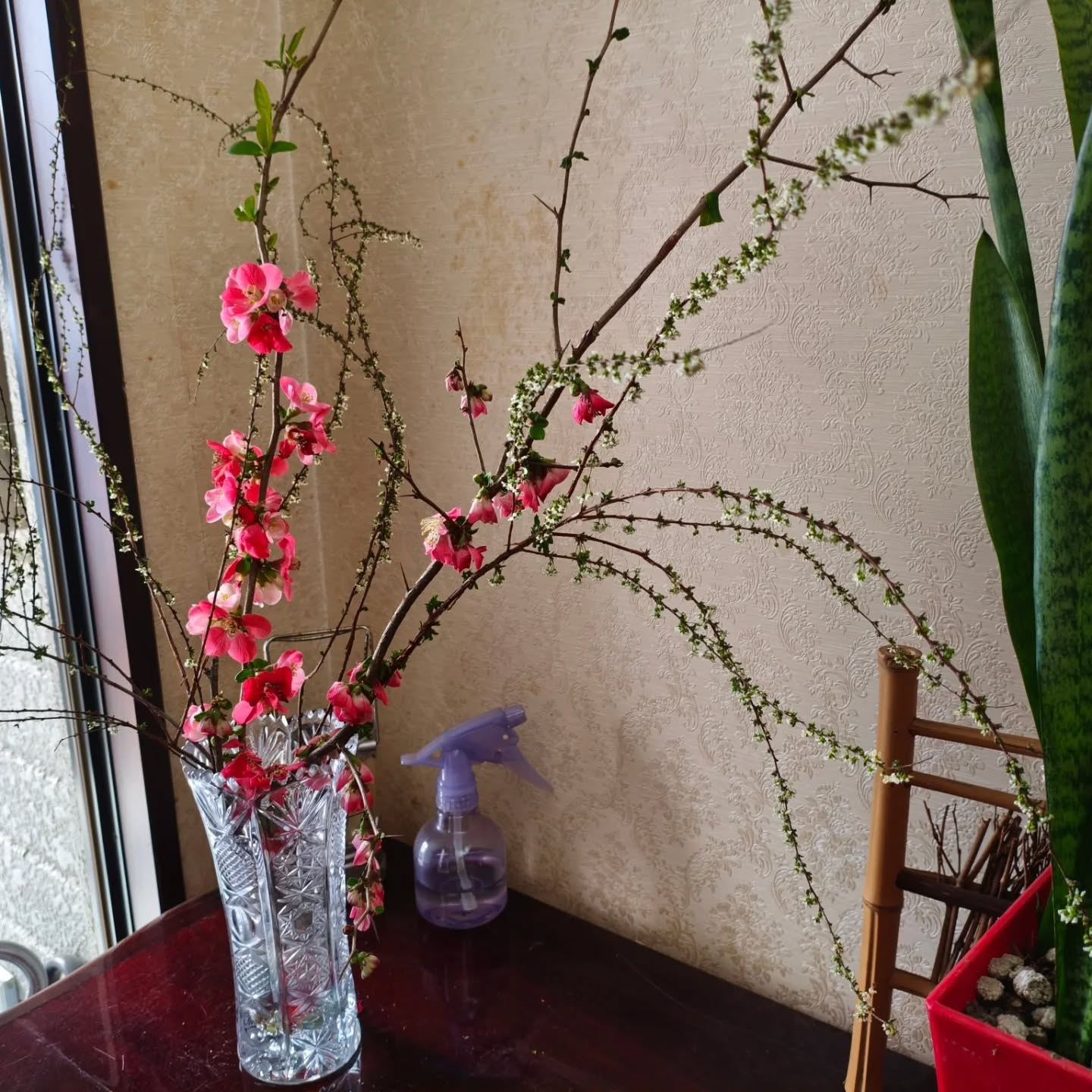 R8.3.23 お彼岸明けの朝　お餅ついてみた