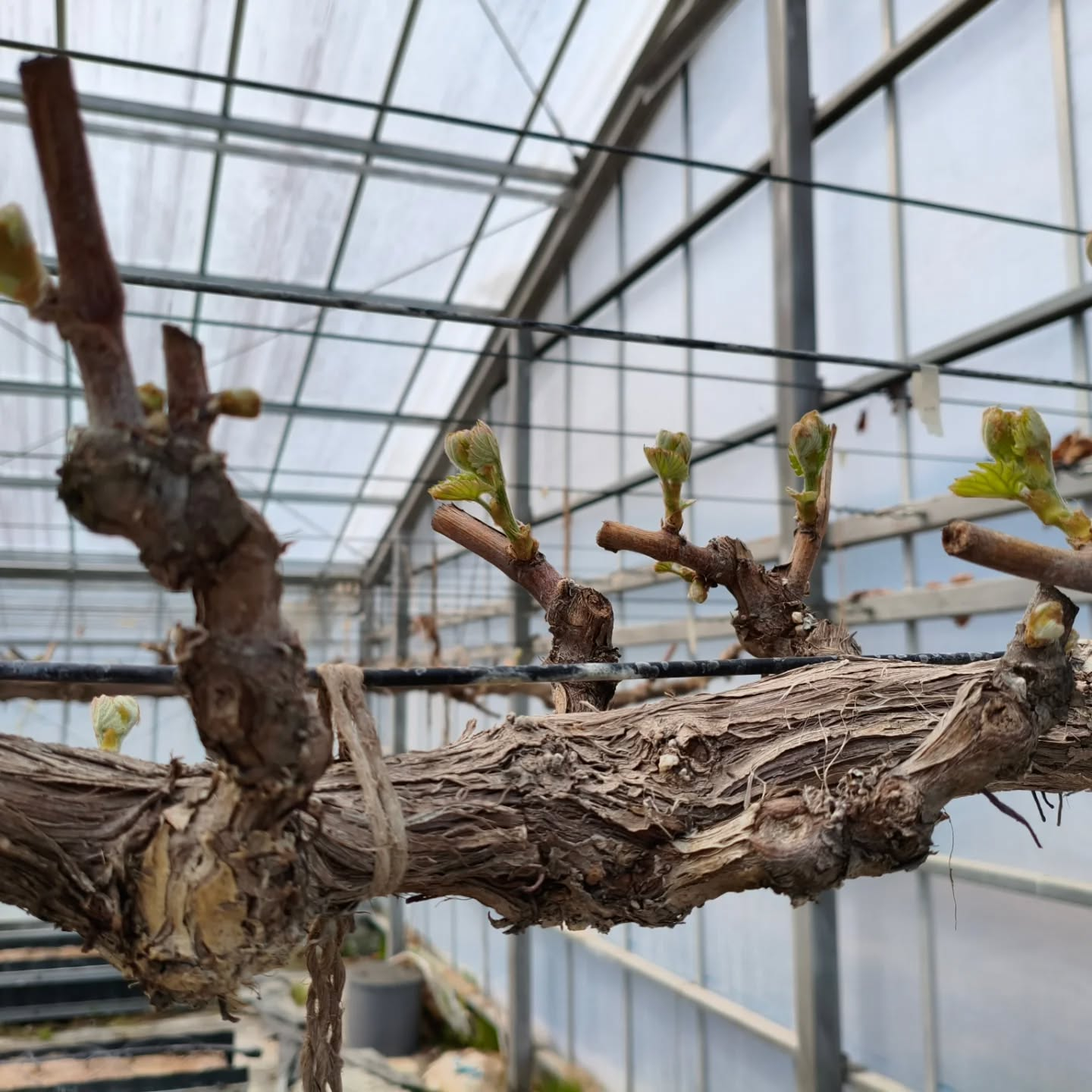 R8.3.29 今日はいいお天気だ〜💕