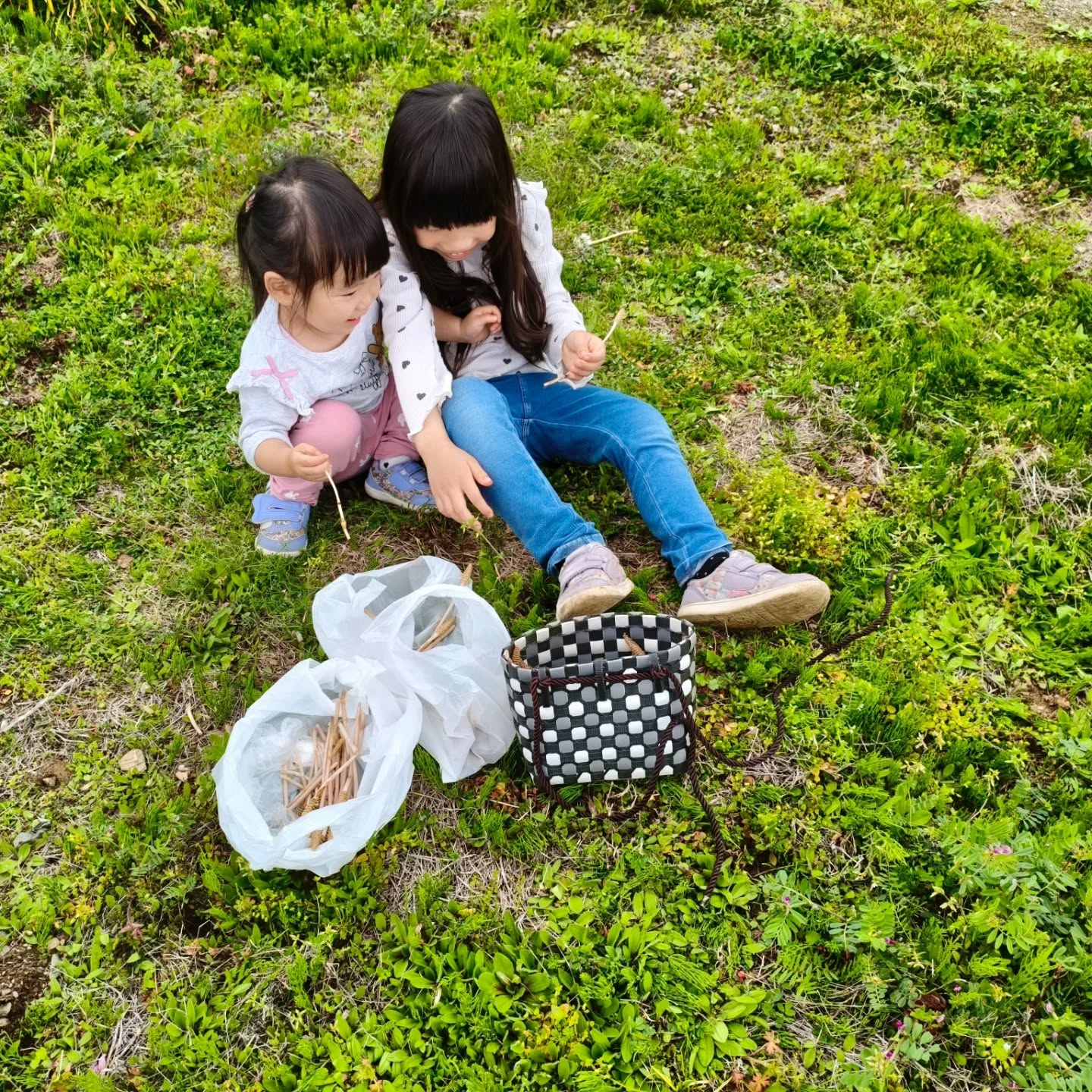R8.4.5 今年は一度もツクシ食べてなかったなぁと チビち...