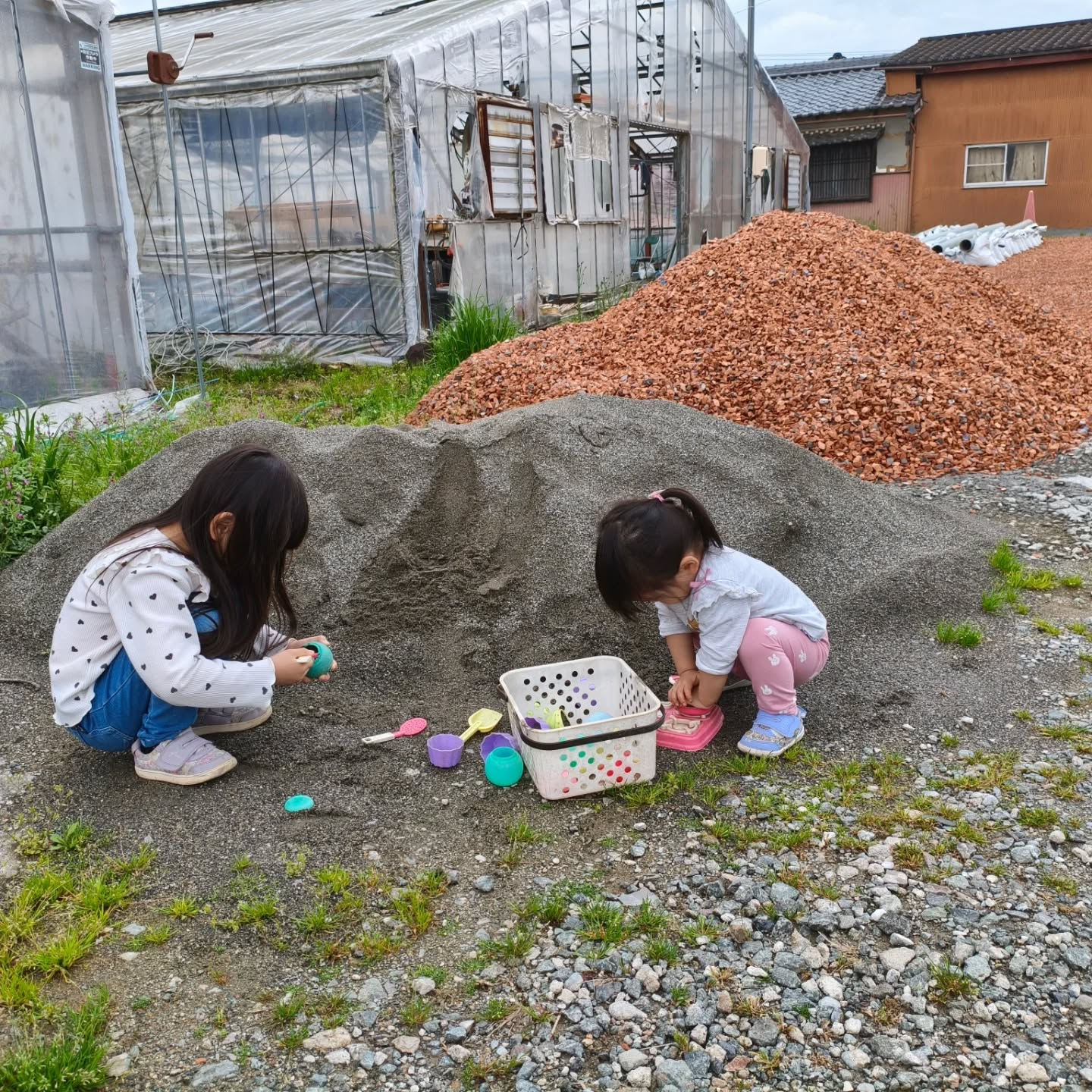 R8.4.5 今年は一度もツクシ食べてなかったなぁと チビち...