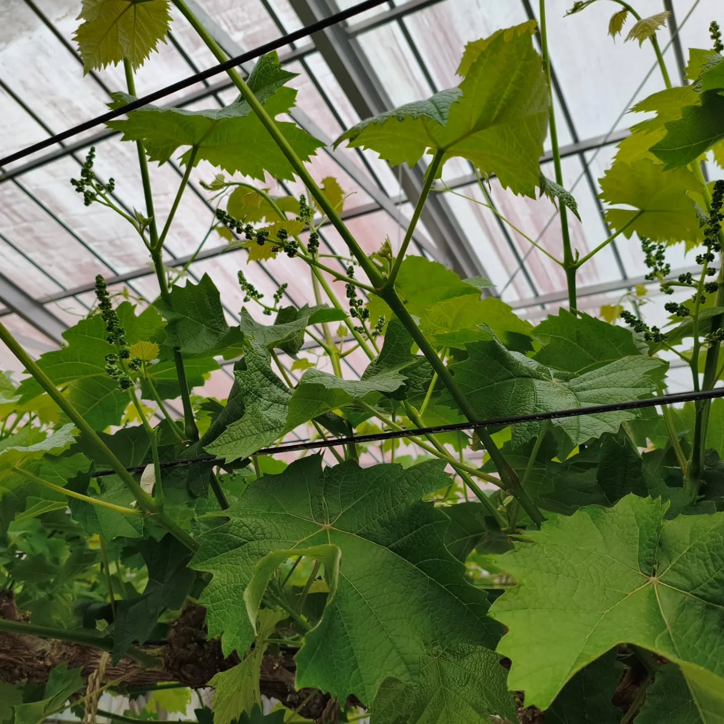 R8.4.23  ヤバいヤバい💦