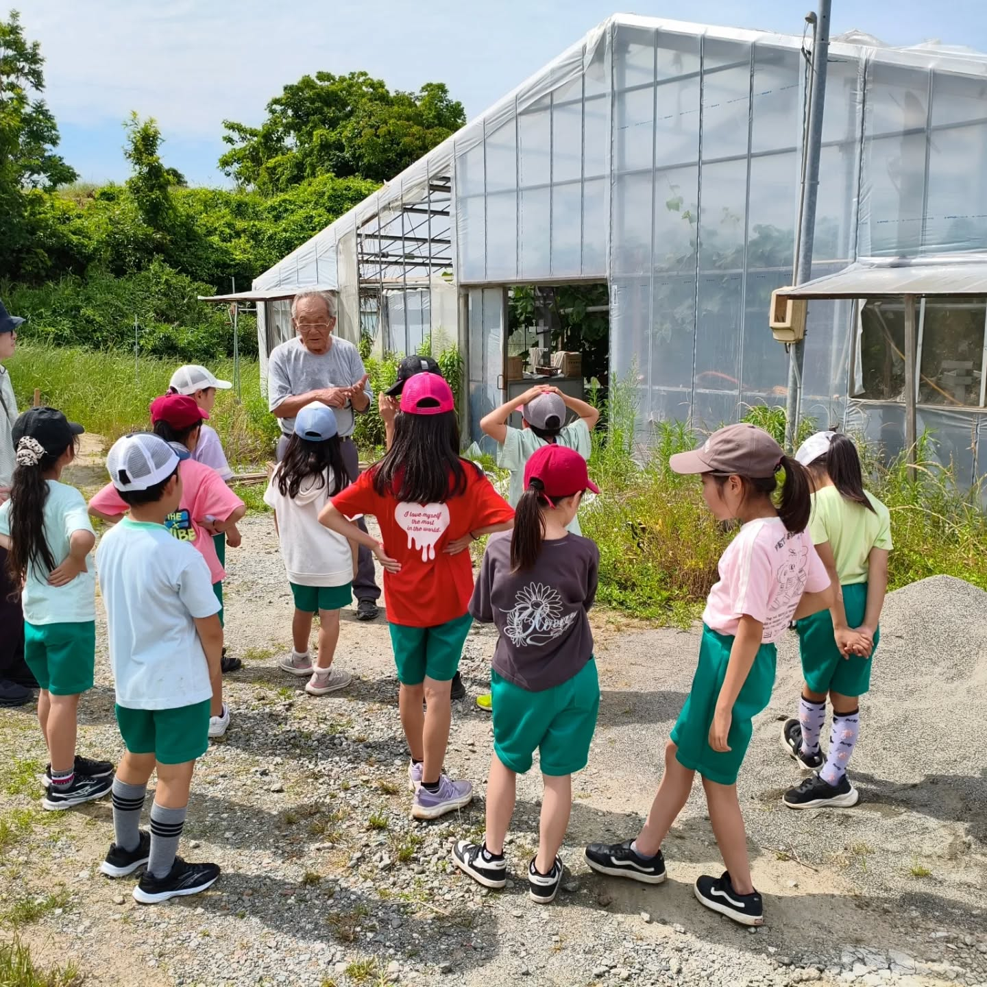R8.6.11  晴れ　今日は近くの小学校3年生が体験学習に...