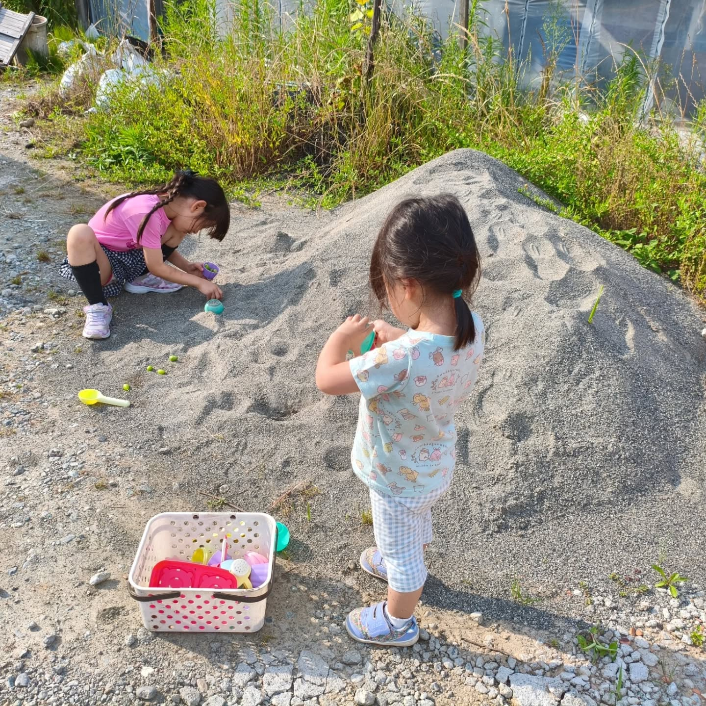 R8.6.13 今日もいいお天気だ〜