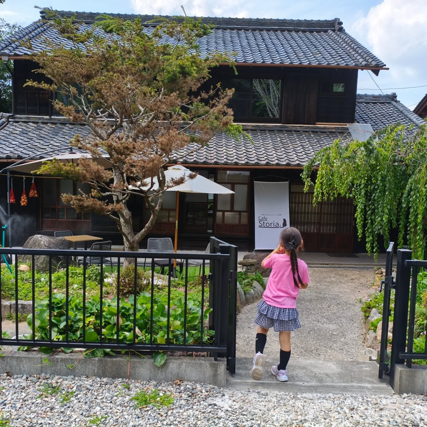 R8.6.13 今日もいいお天気だ〜