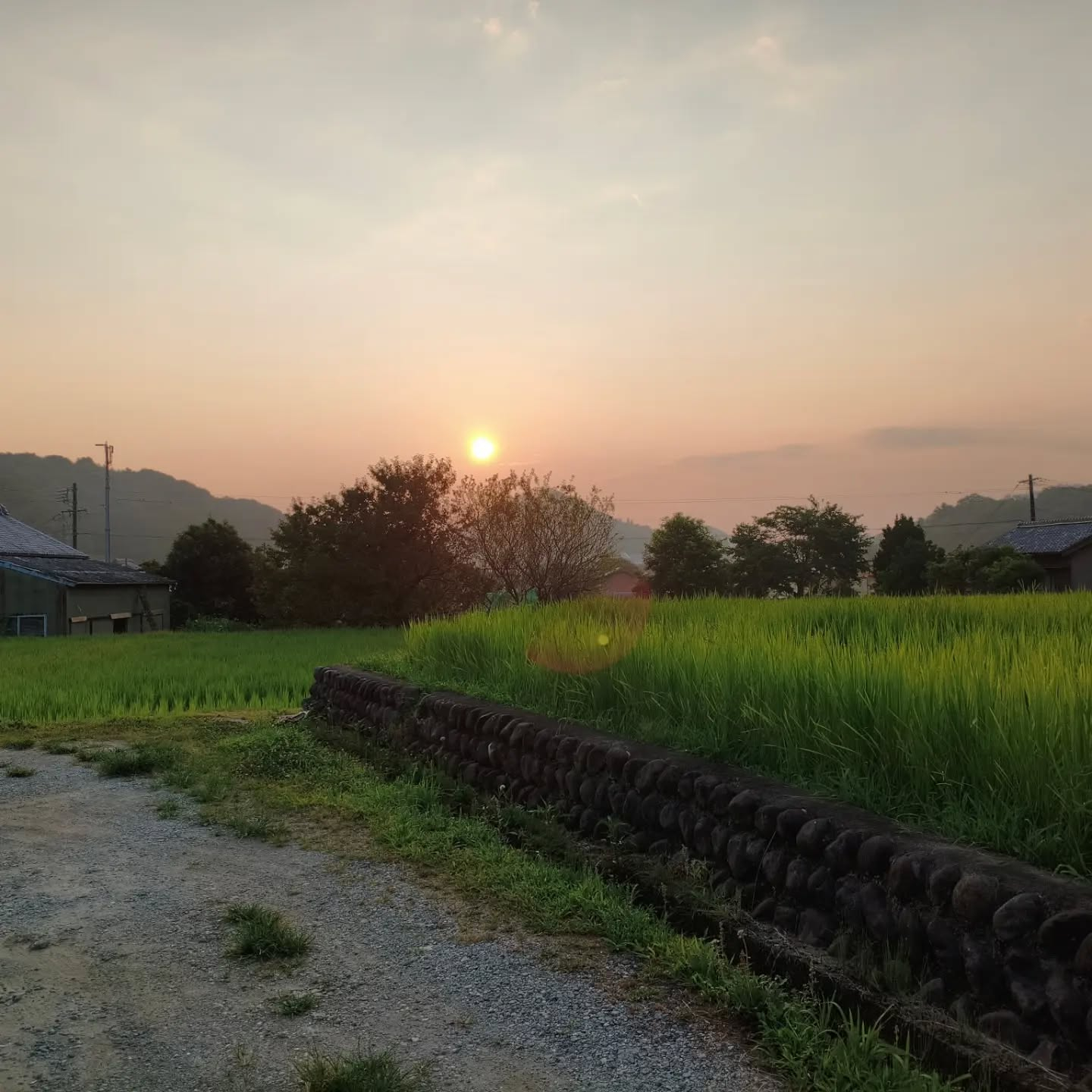 R8.7.23 おはようございます