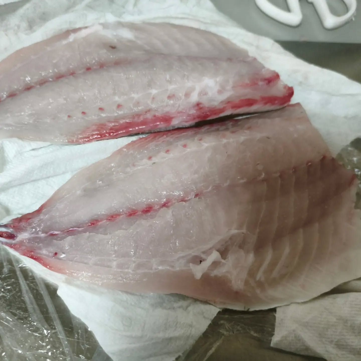 R8.8.16  今日はお泊まりしていた孫ちゃん達を私のお気...