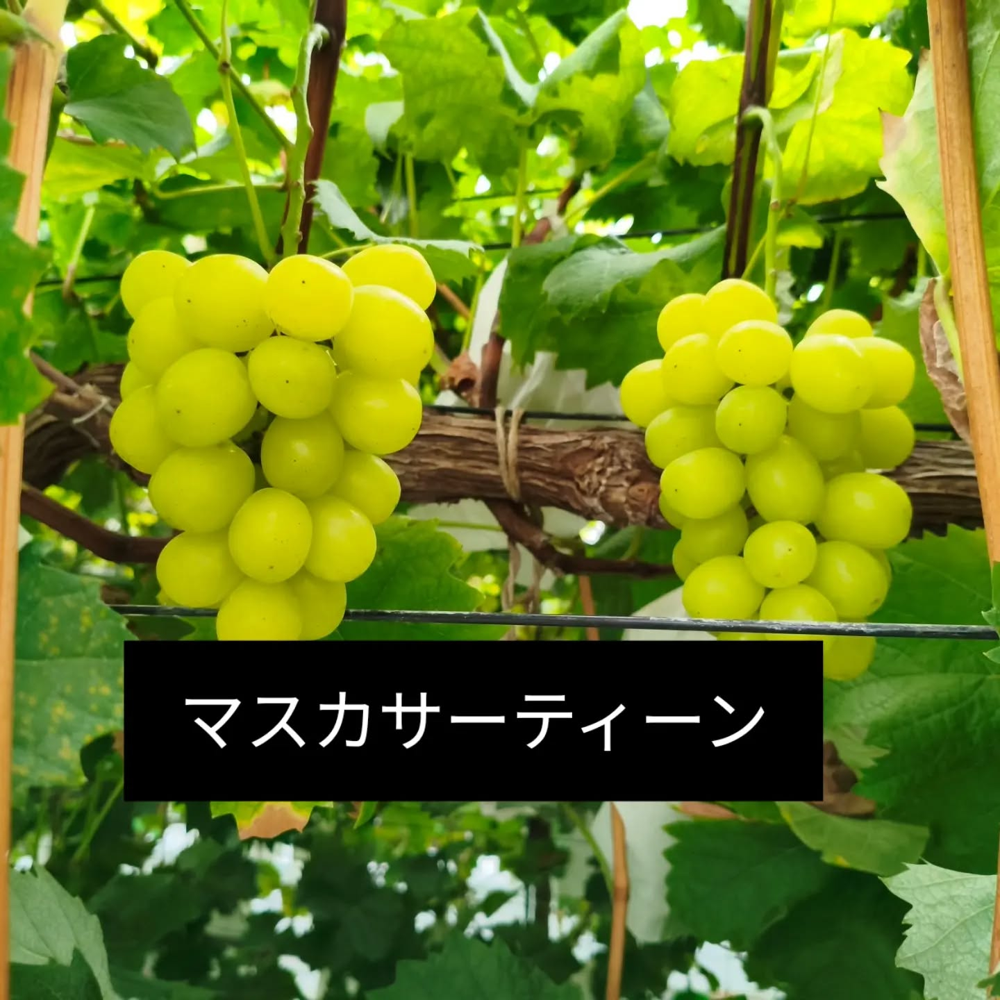 R8.9.5 土曜日