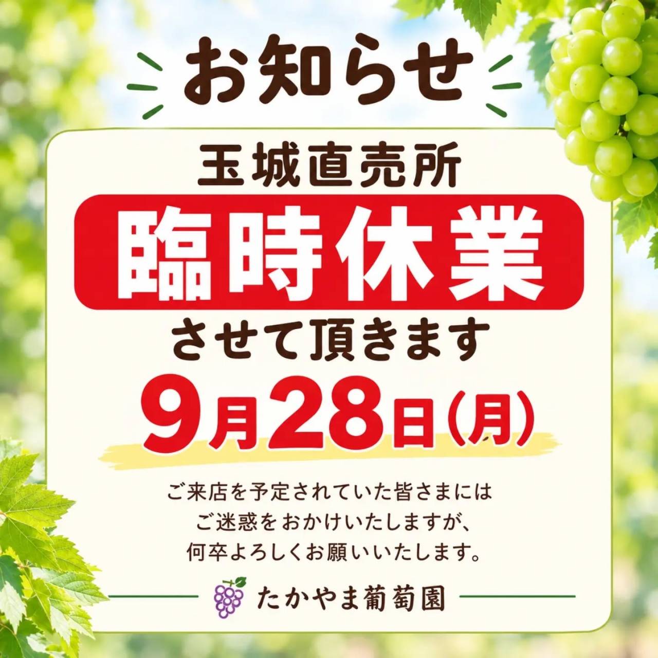 いつも有難うございます😊
