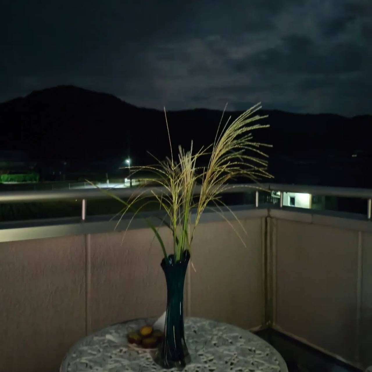 H8.9.24  十五夜