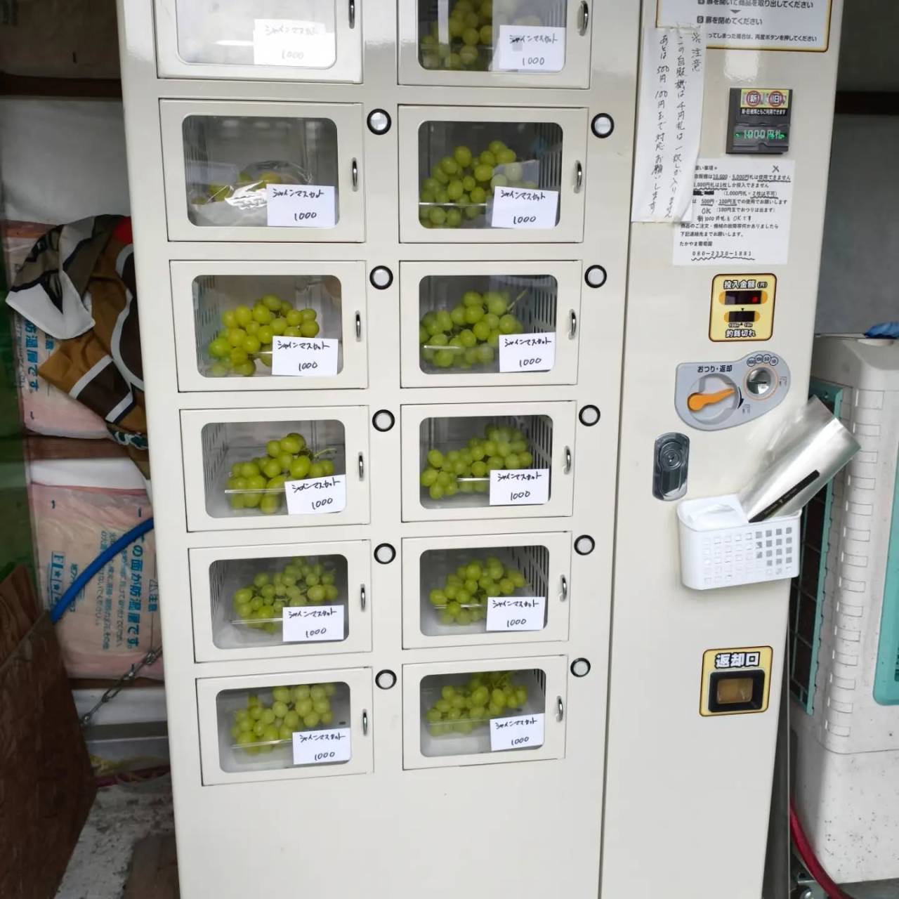 R8.10.9 （金）曇り